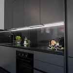 Rent In 1 Apartment