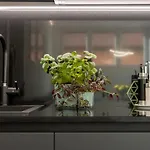 Rent In 1 Apartment