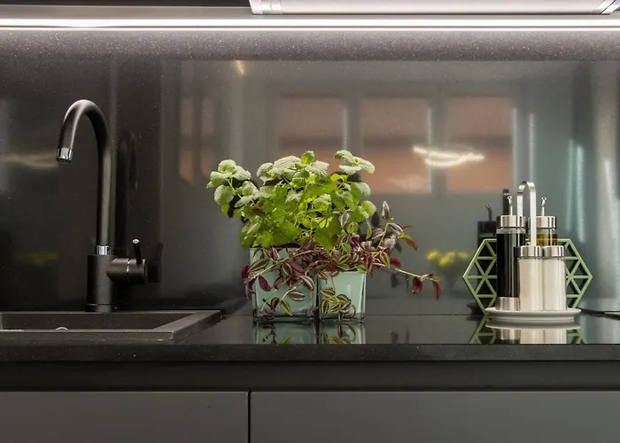 Rent In 1 Apartmán